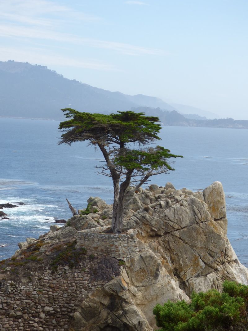 Pacific Coast Highway Road Trip