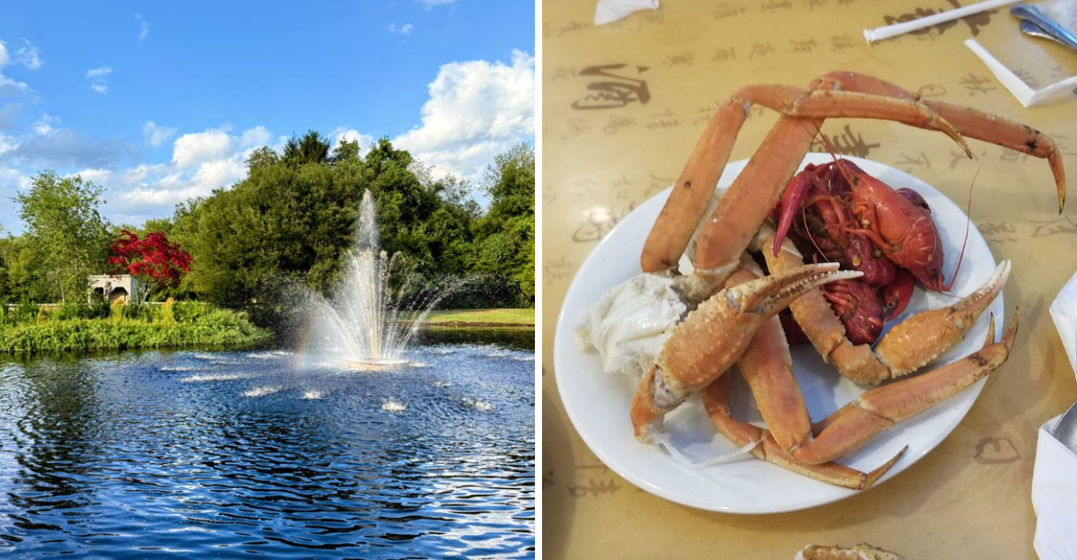 6 All You Can Eat Buffets In The U.S. Worth Trying In 2026 - Decor Hint