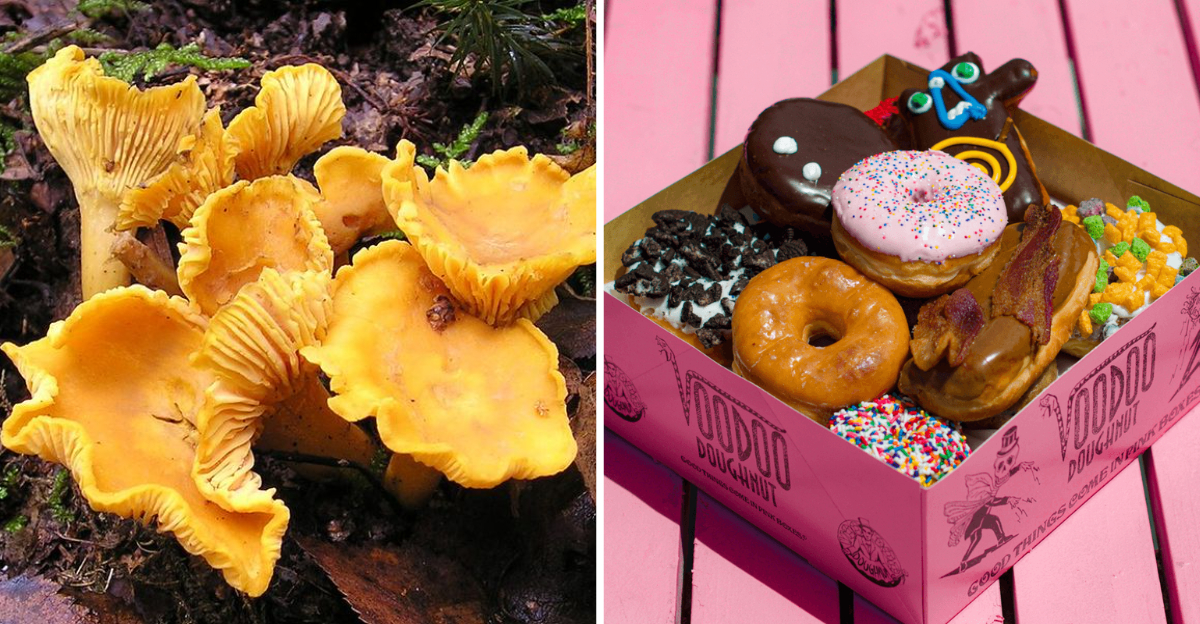 7 Iconic Oregon Foods That Define The States Flavor Identity - Decor Hint