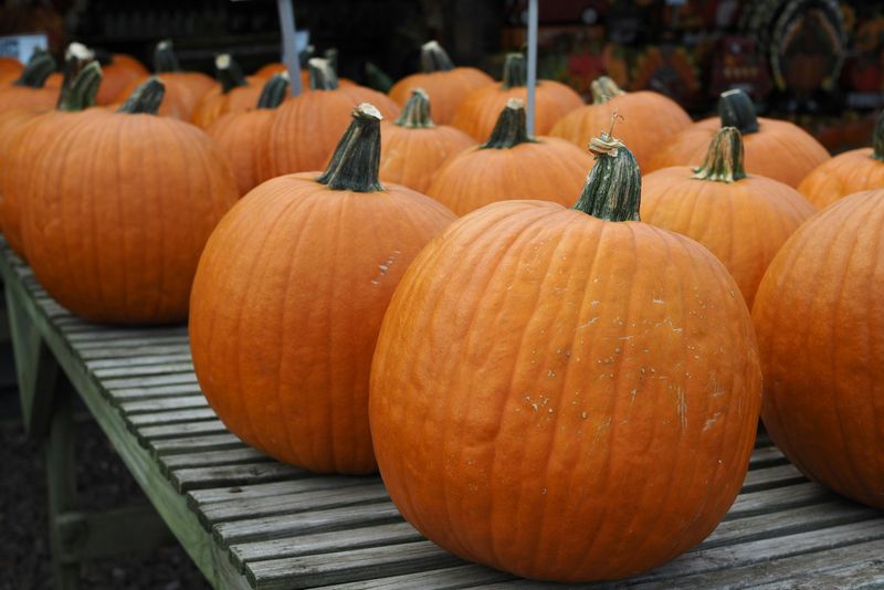 What The Fuss Is All About