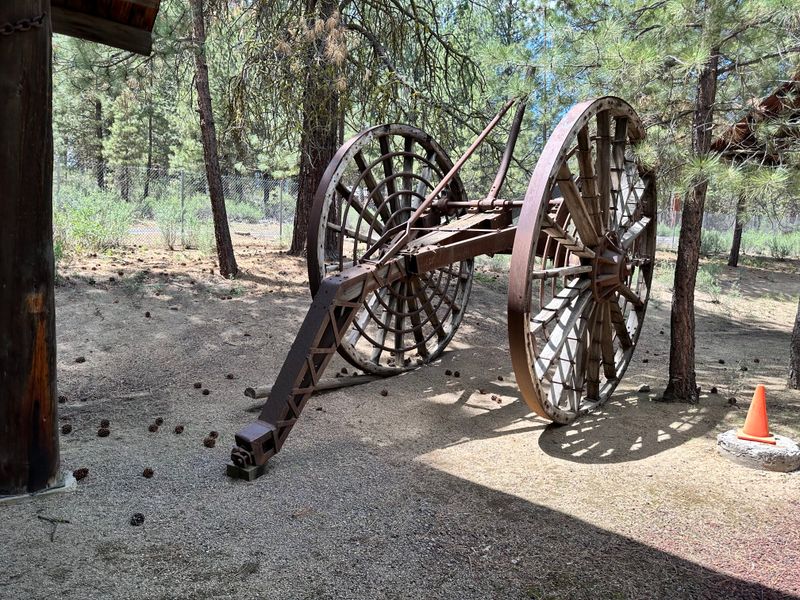 Living History Events That Bring The Past To Life