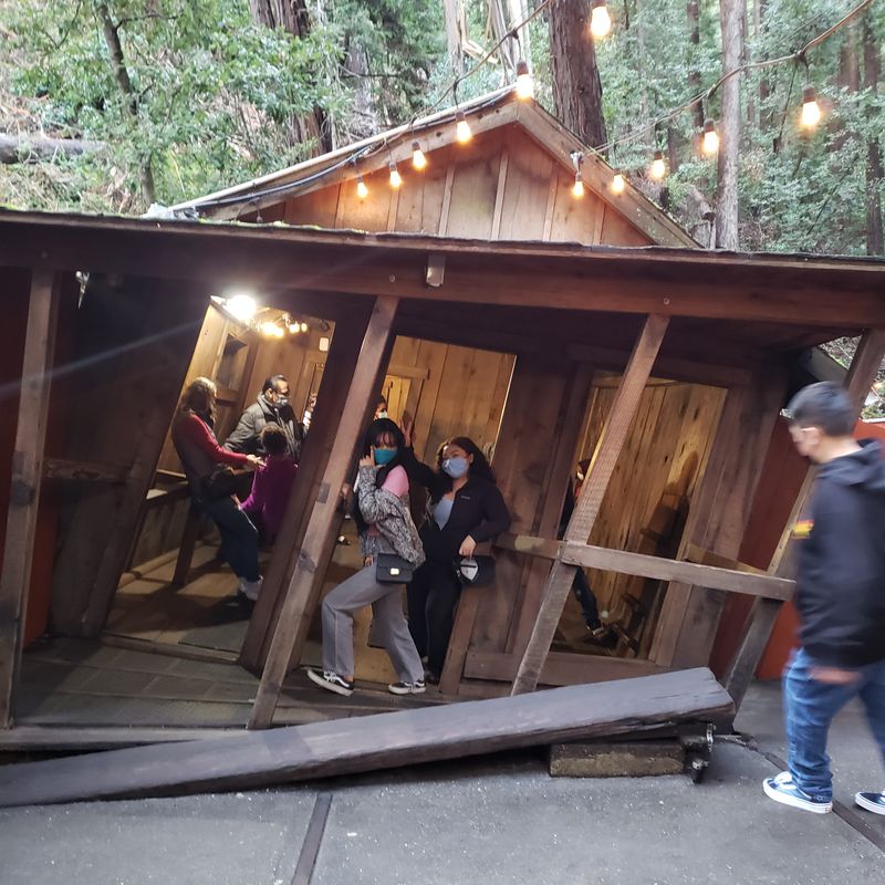 The Tilted Cabin That Turns Visitors Into Human Puzzle Pieces