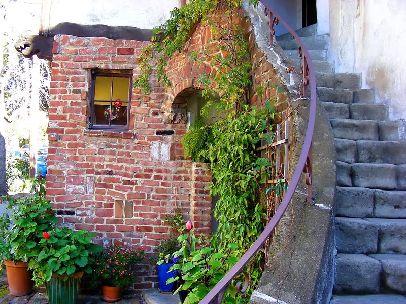 European Styles Meet California Sunshine