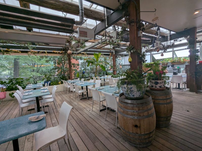 Live Music That Elevates The Dining Experience