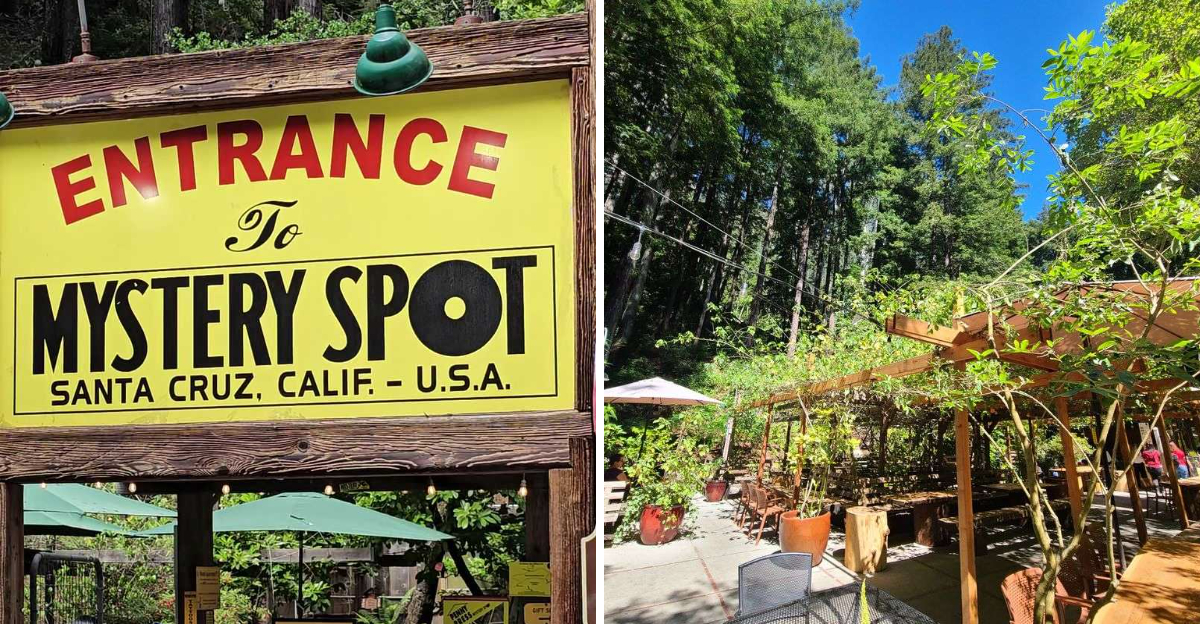 A Gravity Defying Mystery Makes This Santa Cruz California Attraction So Strange - Decor Hint