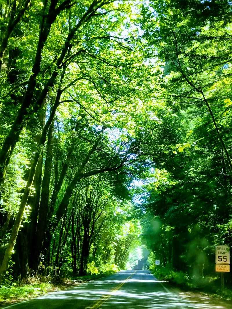 This 31-Mile California Drive Feels Like A Journey Through A Storybook - Decor Hint Stretching From Phillipsville To Pepperwood
