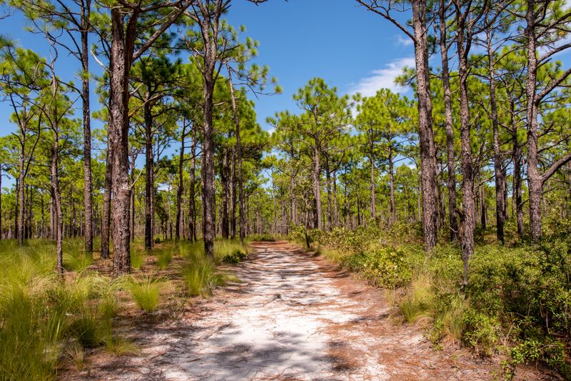 Miles Of Trails Through Coastal Ecosystems