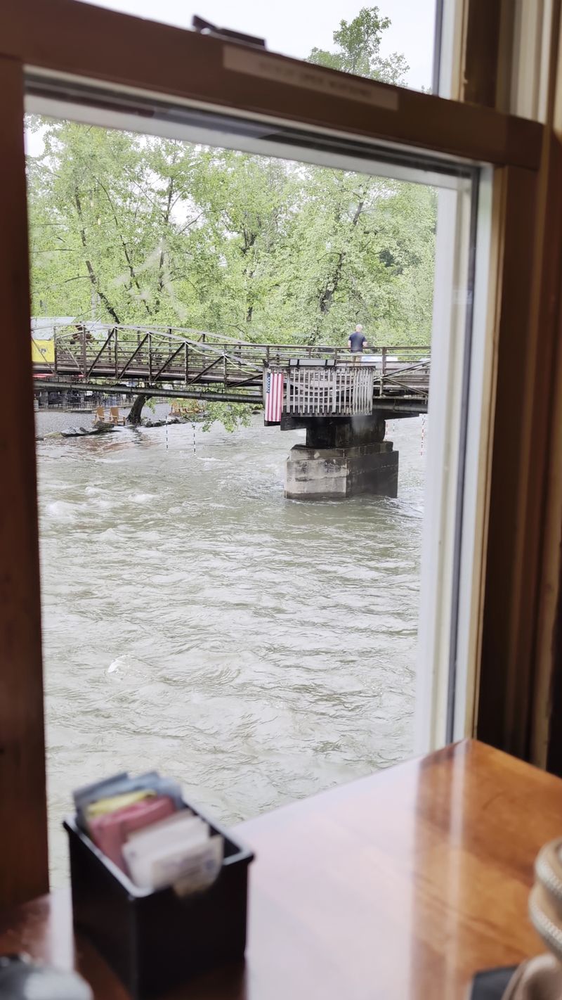 Windows to a Watery Wonderland