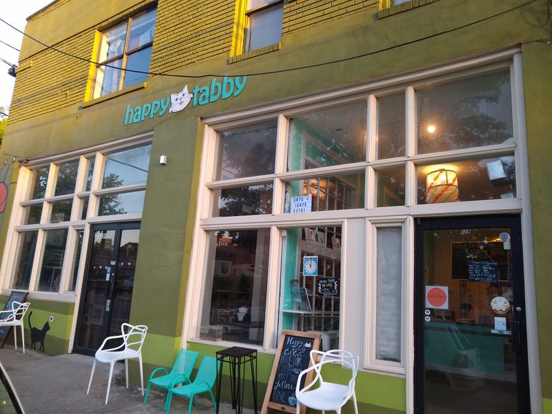Happy Tabby Cat Cafe - Atlanta's Cozy Cat Hangout