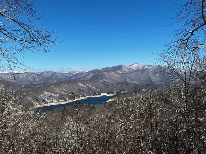 Born From Wartime Necessity