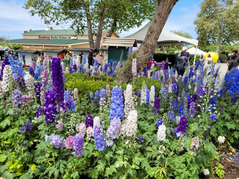 Close To The Ocean And Other Attractions