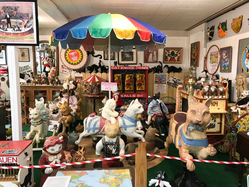 A Surprisingly Charming Cat Museum Is Hiding In North Carolina - Decor Hint Over 10,000 Cat Artifacts Under One Roof