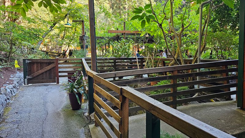 A Circular Zone Where Gravity Seems To Lose Its Mind