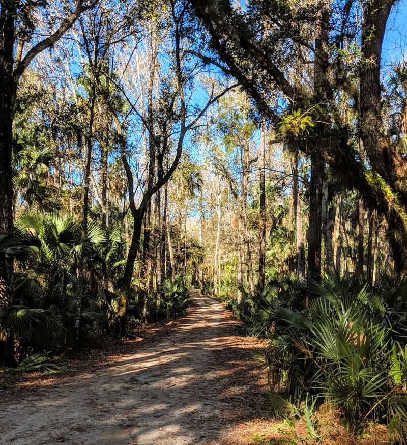 My Go To Park In Georgia For Wildlife Viewing Is Seminole State Park And This Is 15 Reasons Why It's So Special - Decor Hint Excellent Trail System For Wildlife Encounters