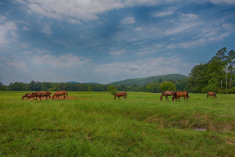 This Stunning College In Georgia Looks Just Like Hogwarts - Decor Hint The Mountain Campus Offers Stunning Views