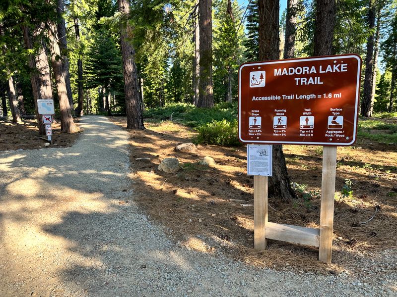 Wildlife Viewing From Bears To Golden Eagles