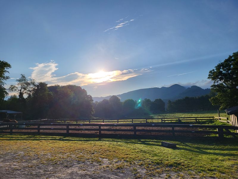 Seasonal Menu Variations