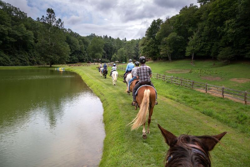 Horseback Riding Adventures For All Skill Levels