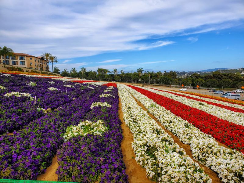 The American Flag Made Entirely Of Flowers