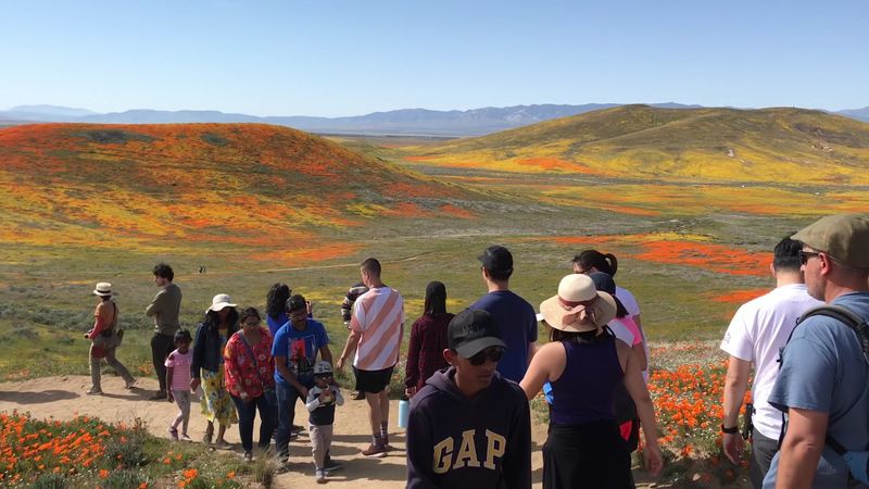 Educational Programs Include Guided Walks and Ecology Lessons