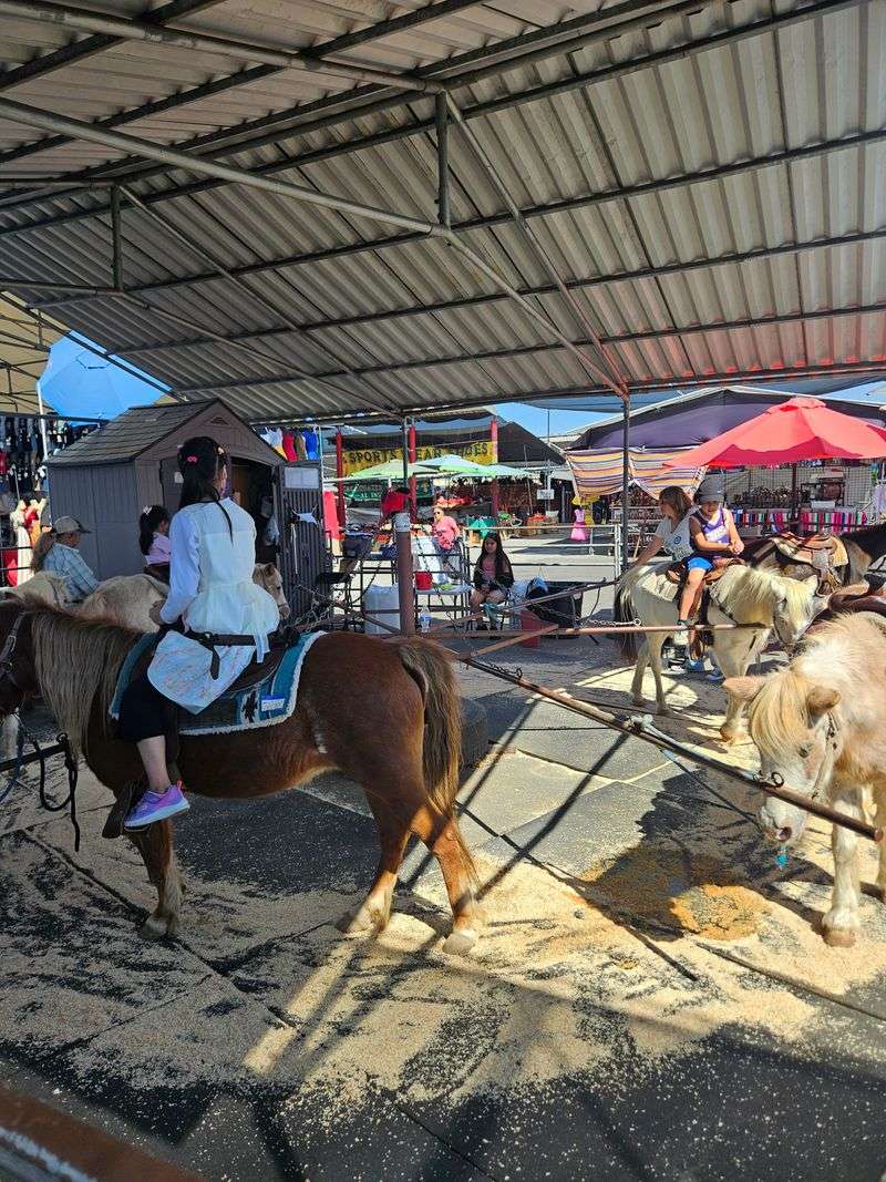 Millions Of Annual Visitors