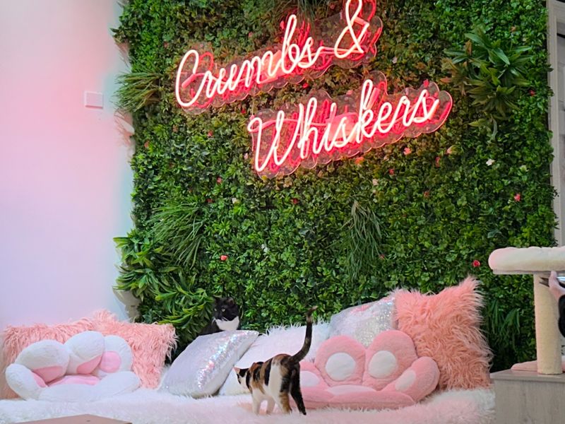 Online Booking Through Website