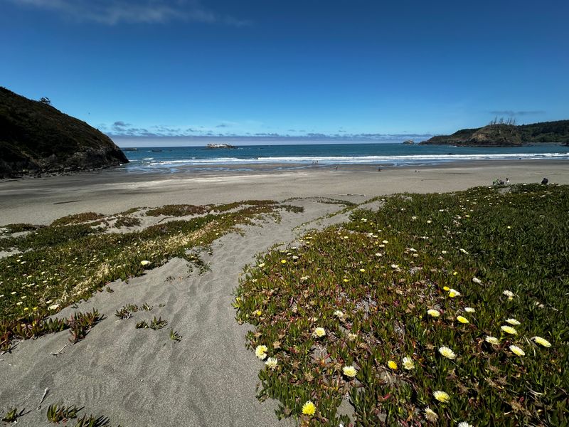 How Tourists Can Help Protect California's Beaches