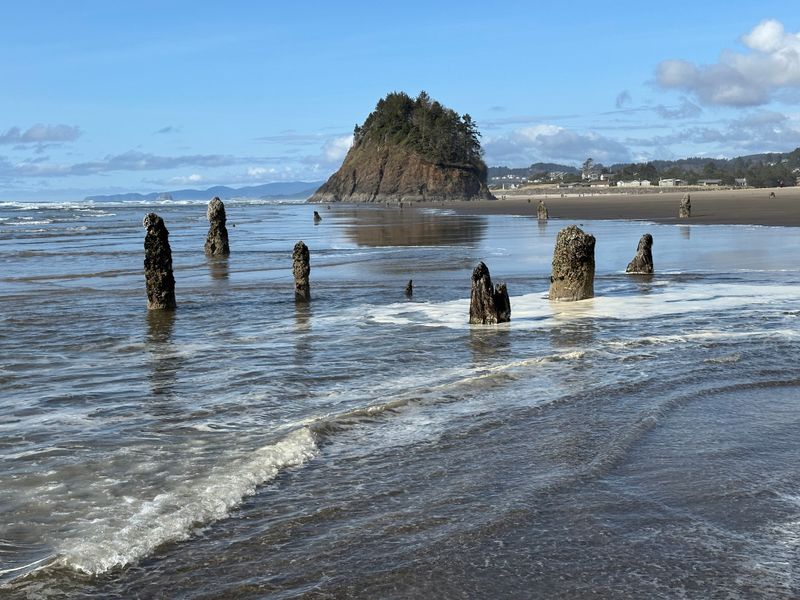 Did Oregon Steal These 10 Landscapes From Another Planet? - Decor Hint Neskowin Ghost Forest