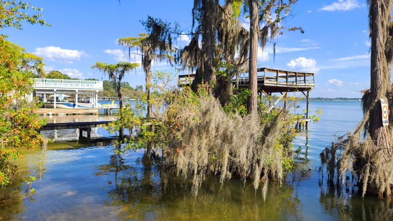 Incredible Wildlife And Natural Biodiversity