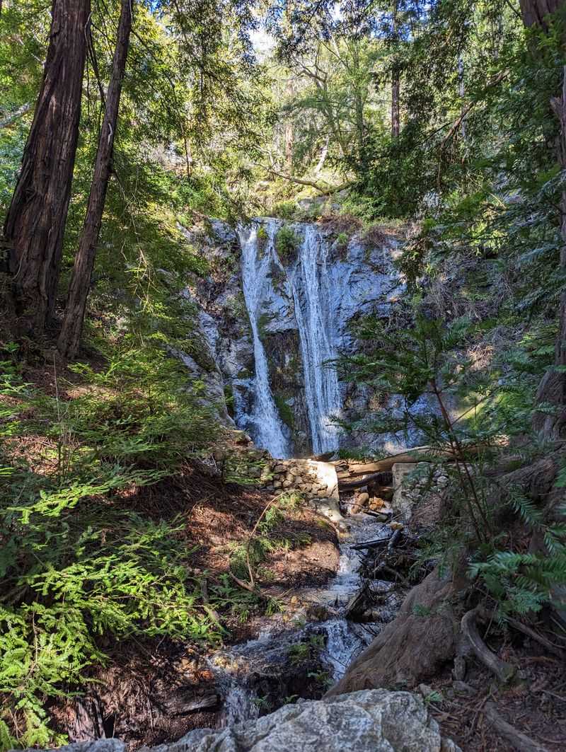 This Underrated California Park Feels Like A Mini National Park With Towering Ancient Redwoods - Decor Hint Pfeiffer Falls