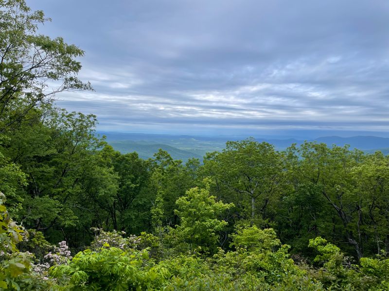 Springer Mountain Plaque