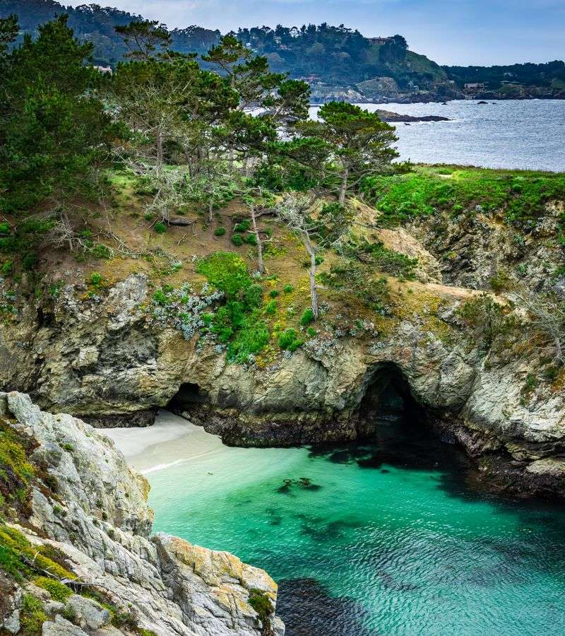 Point Lobos State Natural Reserve