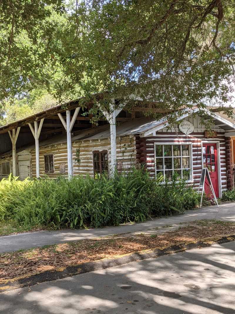 Paynes Prairie Overlook And Bison Spotting