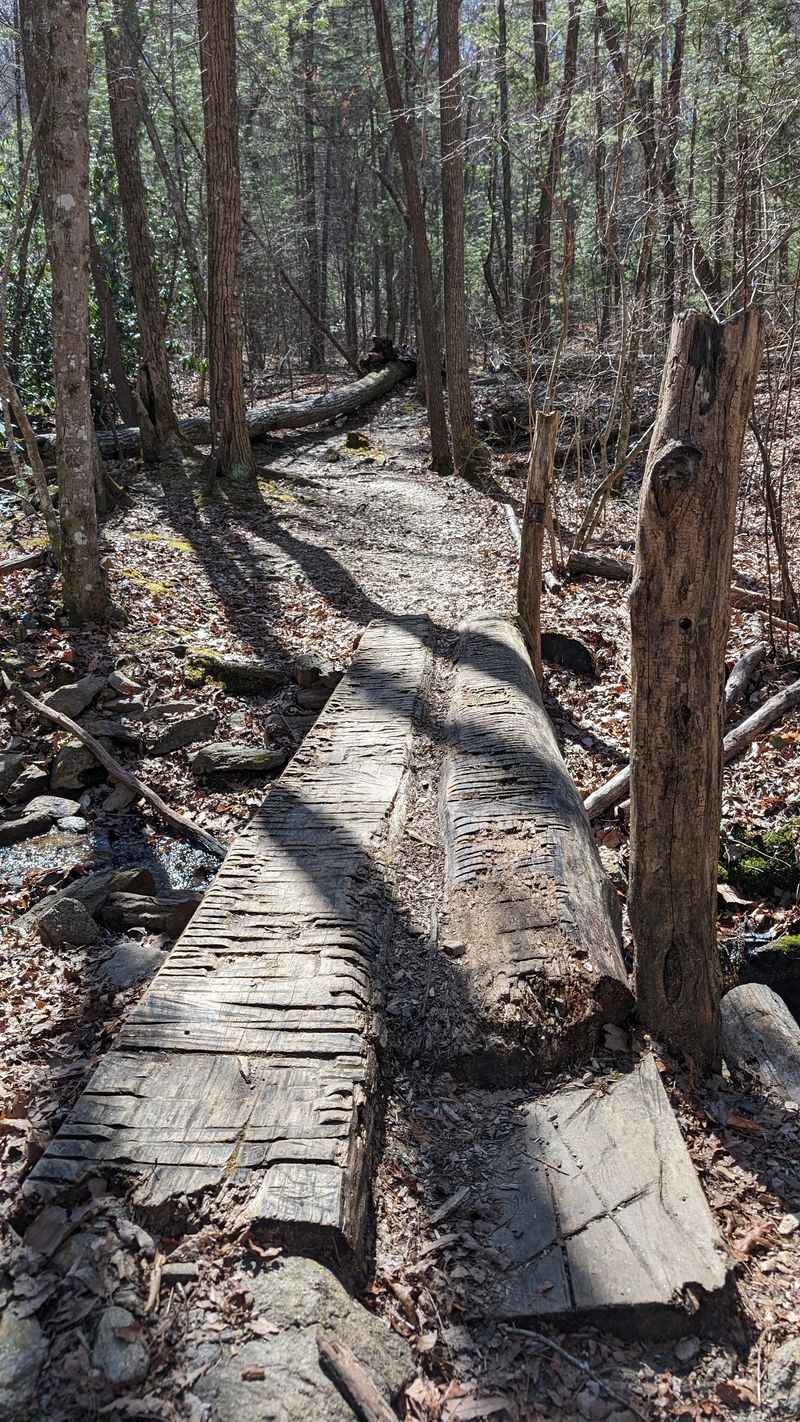 Mountains-to-Sea Trail