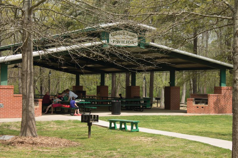 Georgia Festivals That Draw Crowds For All The Right Reasons - Decor Hint Lilburn Days Festival