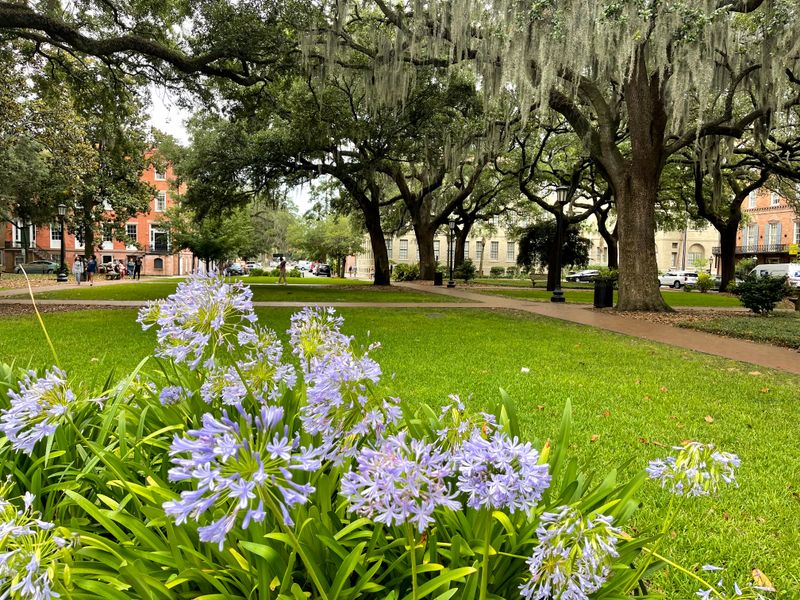Savannah's Historic Architecture and Squares