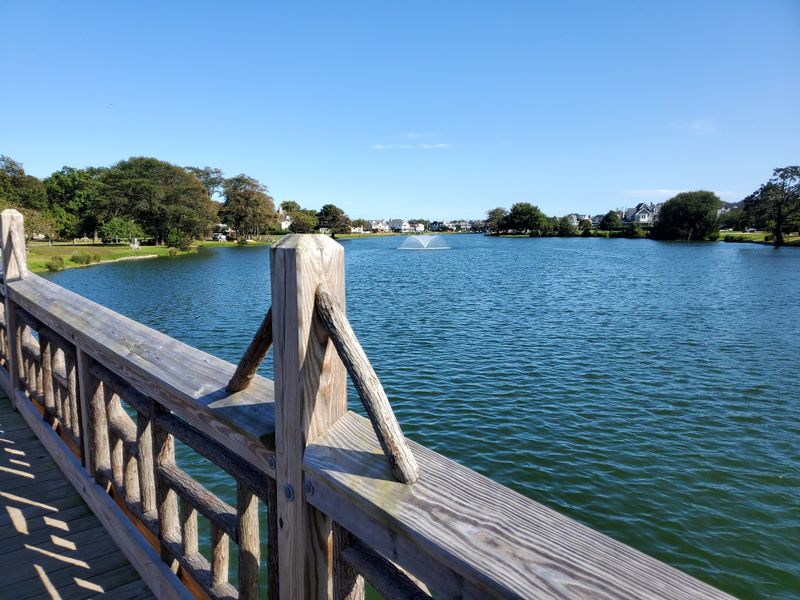 Spring Lake Boardwalk