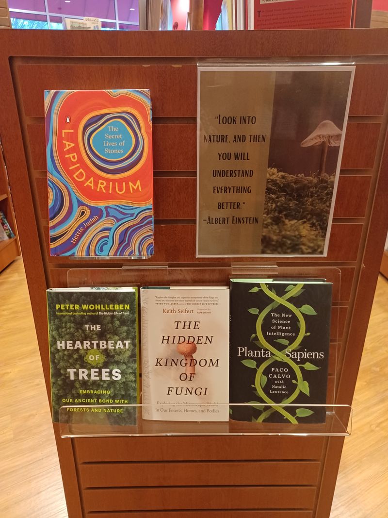 Staff Recommendations That Actually Matter