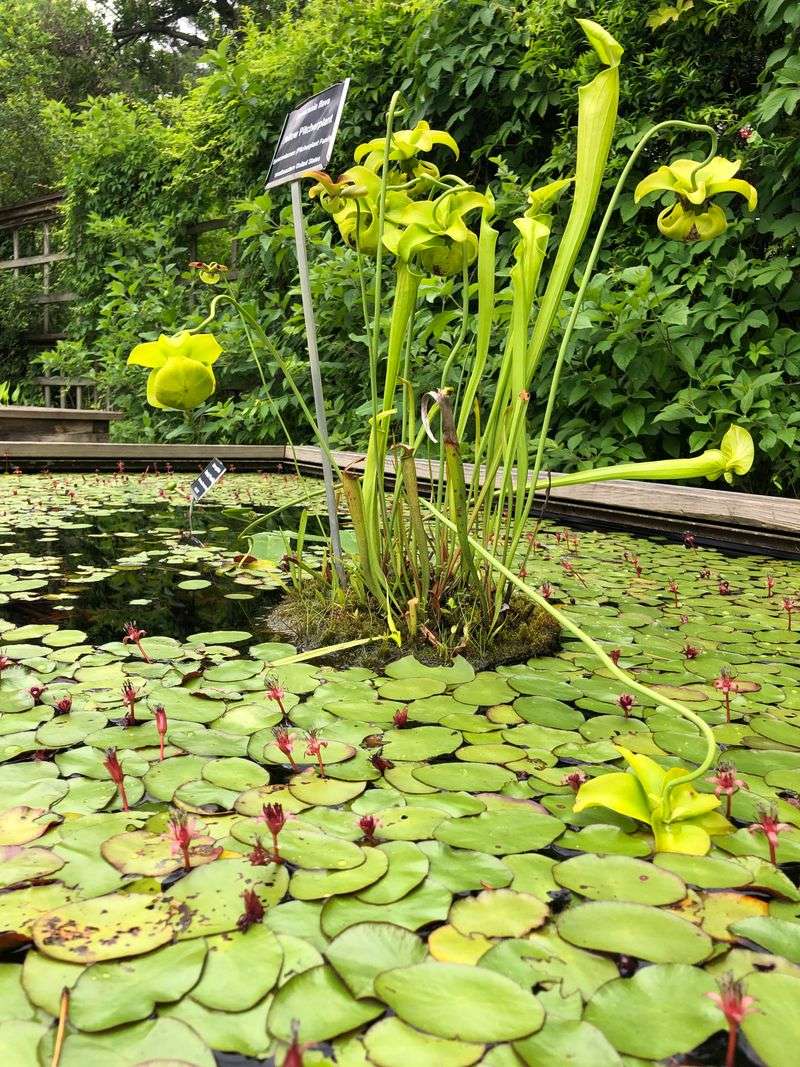 Educational Programs Connect Students With Nature