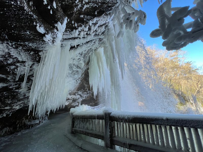 Year-Round Beauty with Seasonal Personalities