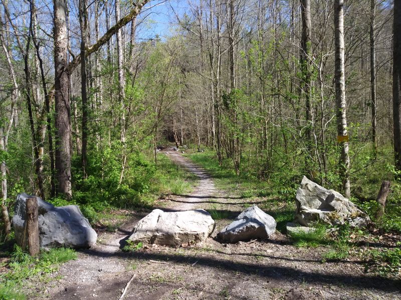 This Mountain Drive In North Carolina Feels Like A Roller Coaster With Views - Decor Hint Citico Creek Wilderness: Where Solitude Still Exists