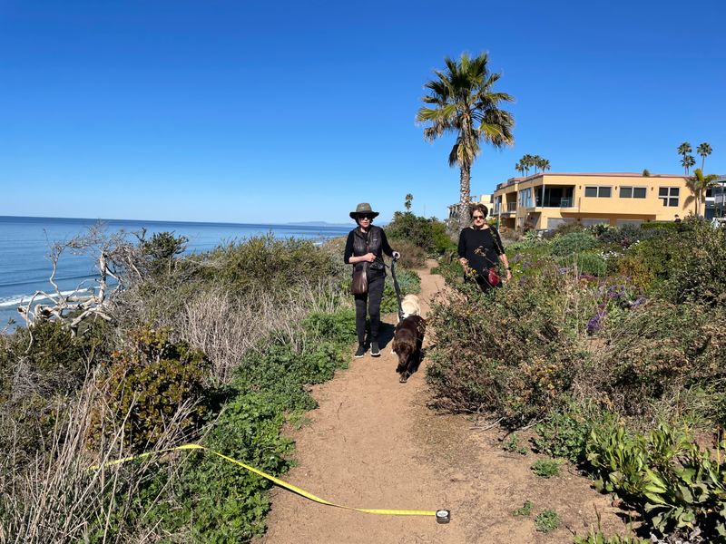 Alternative Coastal Activities To Try