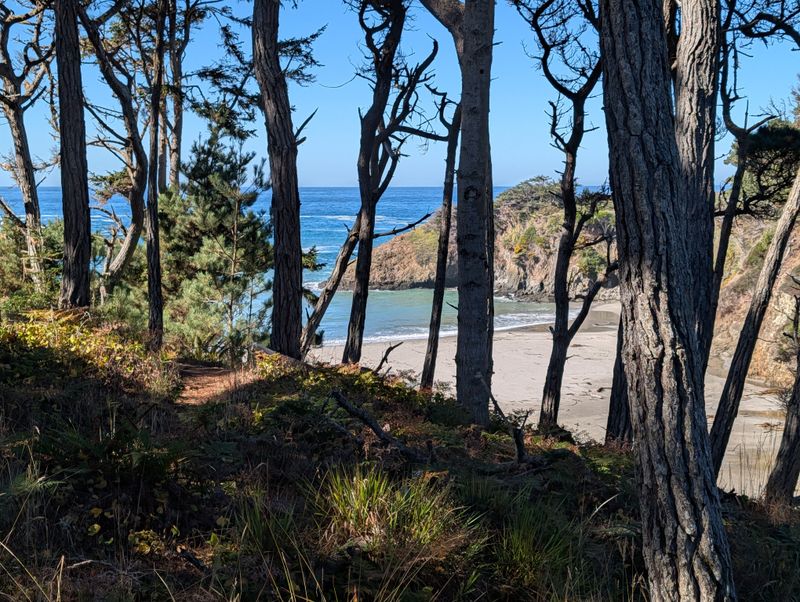 This Tiny California State Park Feels Worlds Away From Everyday Stress - Decor Hint Diverse Plant Communities Reflect Terrace Age
