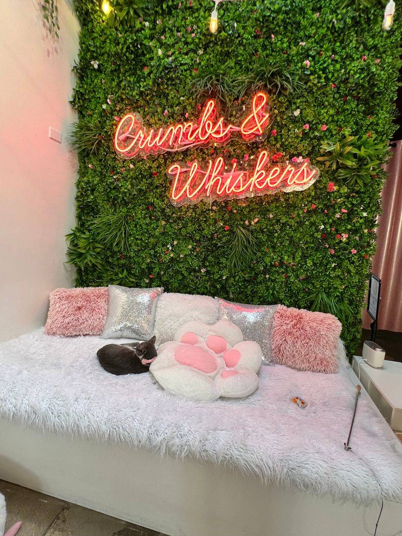 Cat-Themed Décor And Neon Signs