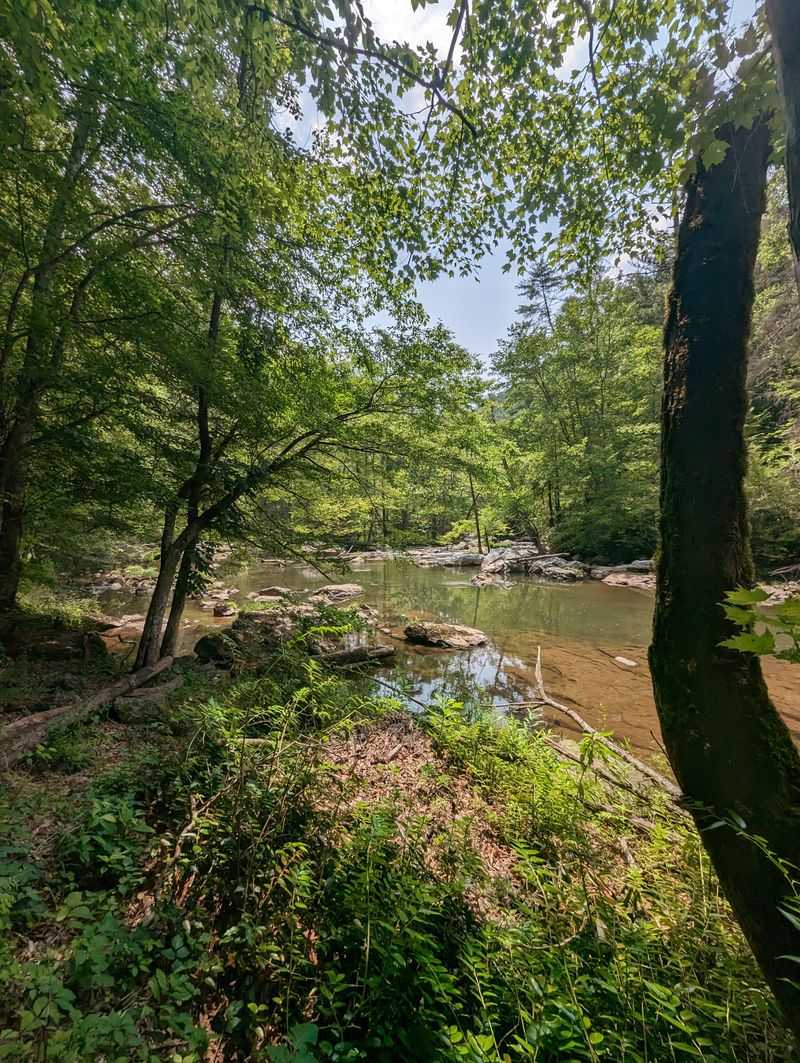 This Hidden North Carolina Trail Takes You To A Lost Ghost Town - Decor Hint Wildlife Encounters Along The Water