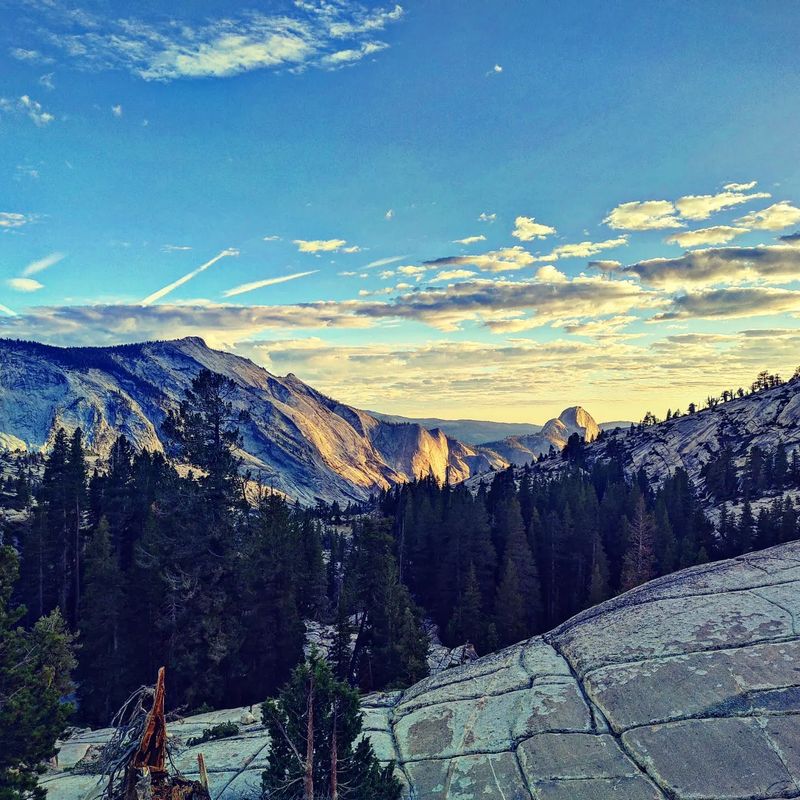 15 Epic California Road Trips You Need To Take That Belong On Your Bucket List - Decor Hint Tioga Pass