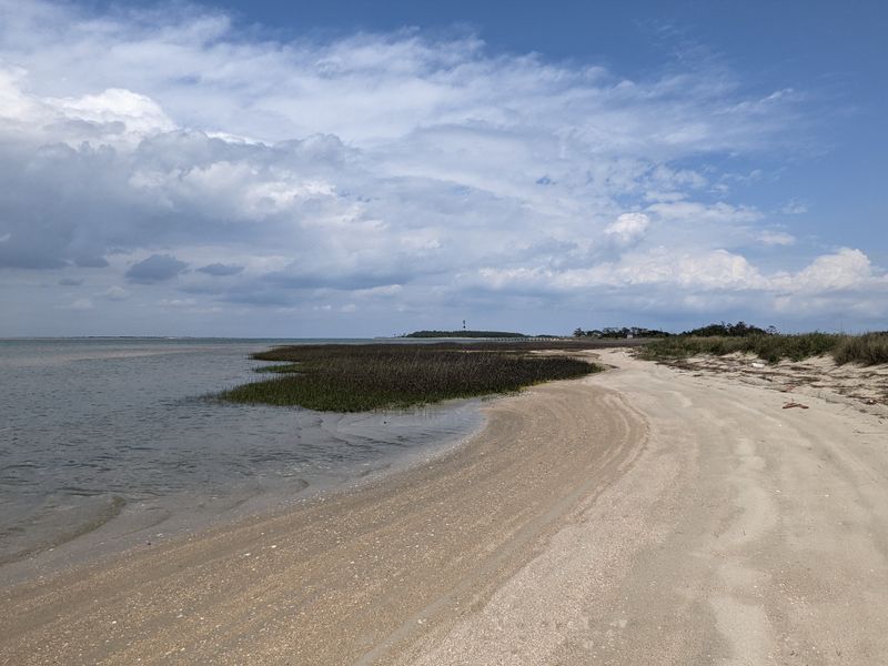 Kayaking Through Coastal Marshes