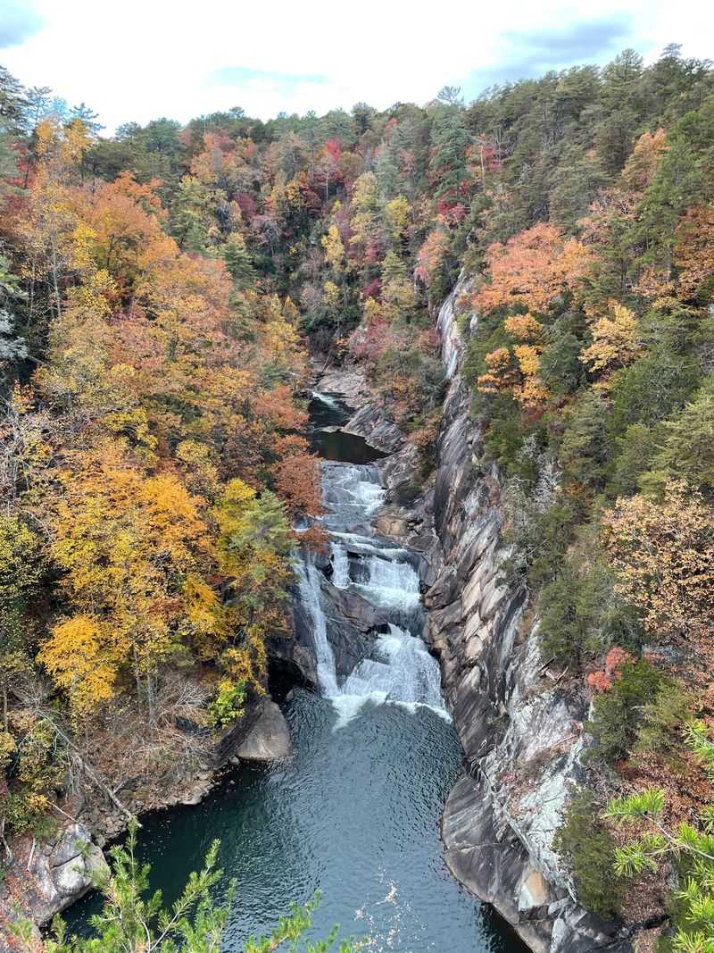 Tallulah Gorge Spring-Fed Streams