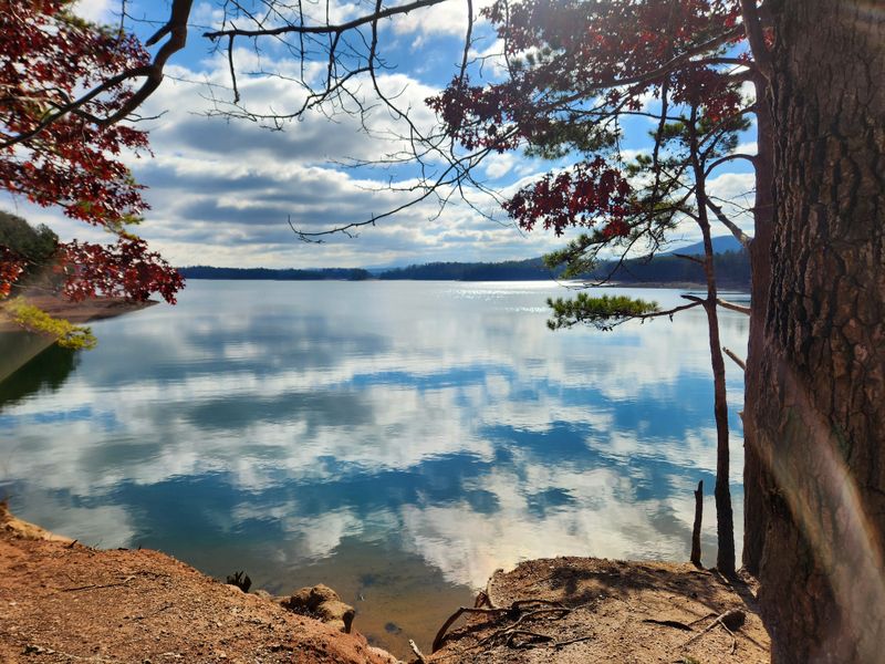 Nottely Lake Dispersed Camping