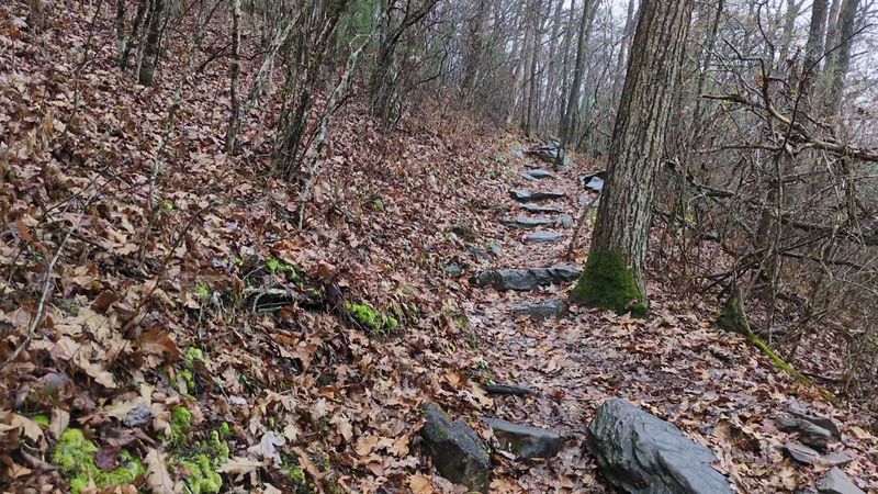 Springer Mountain Summit Trail